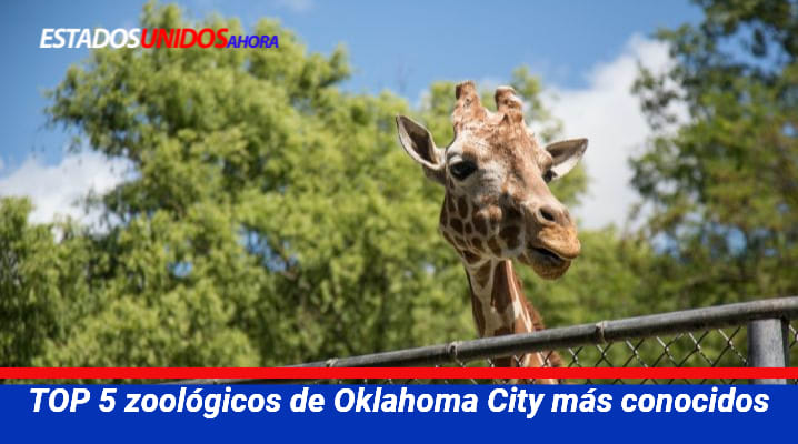 Zoológicos de Oklahoma City