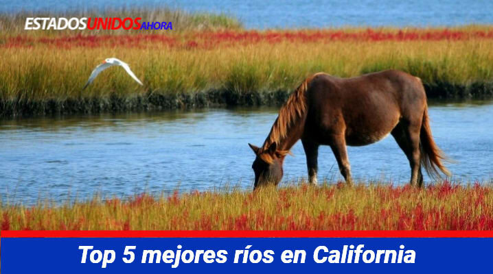 Top 5 mejores ríos en California