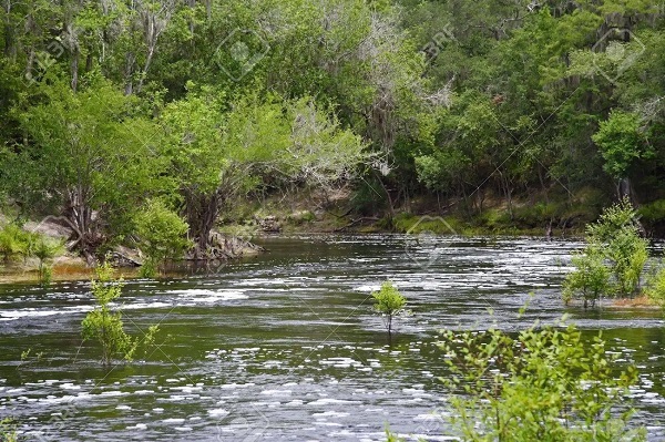 Top 10 mejores ríos en Florida más conocidos